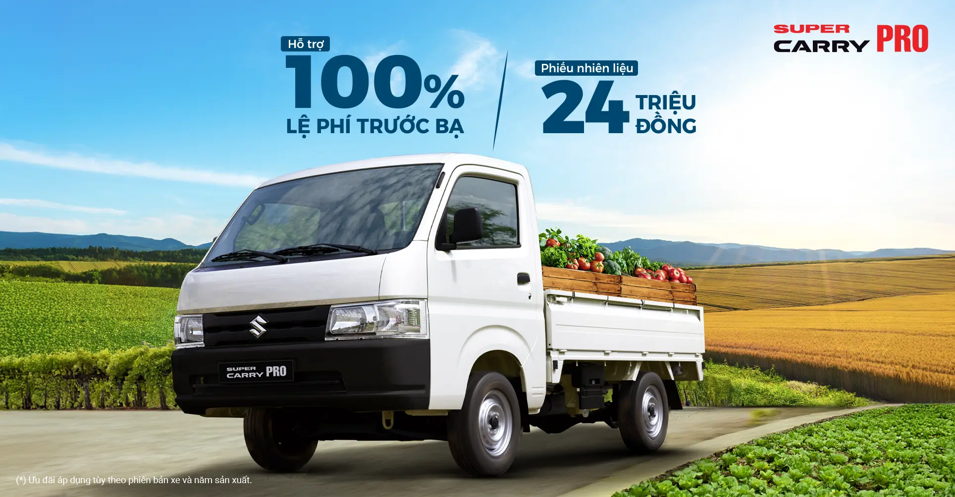 LĂN BÁNH MÙA HÈ, CHỌN PRO CHỞ KHỎE