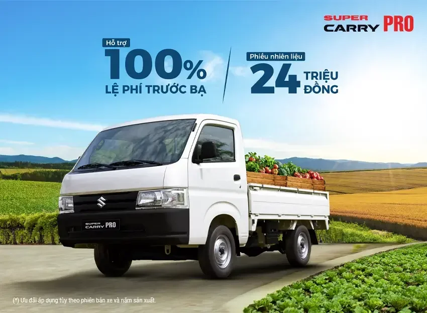 LĂN BÁNH MÙA HÈ, CHỌN PRO CHỞ KHỎE